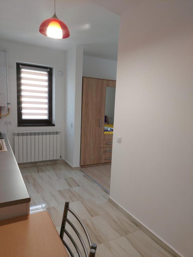 Bya Brown Apartment Valea Lupului  Exterior photo